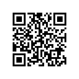 11.13-24双燃料培训